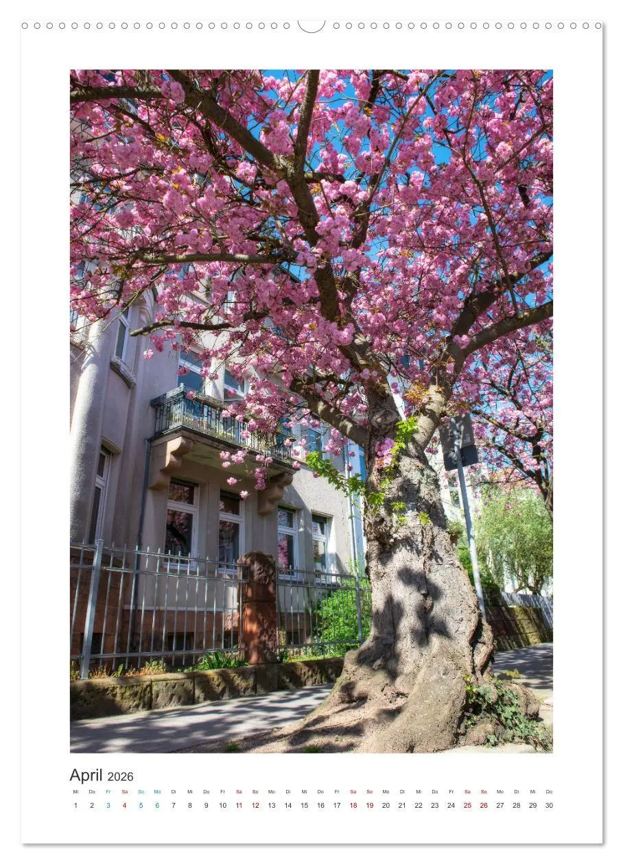 Bild: 9783516361780 | Mein Marburg (hochwertiger Premium Wandkalender 2026 DIN A2 hoch),...