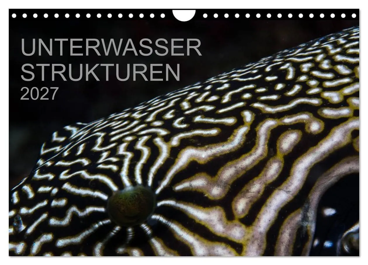 Cover: 9783594101780 | Unterwasser Strukuren (Wandkalender 2027 DIN A4 quer), CALVENDO...