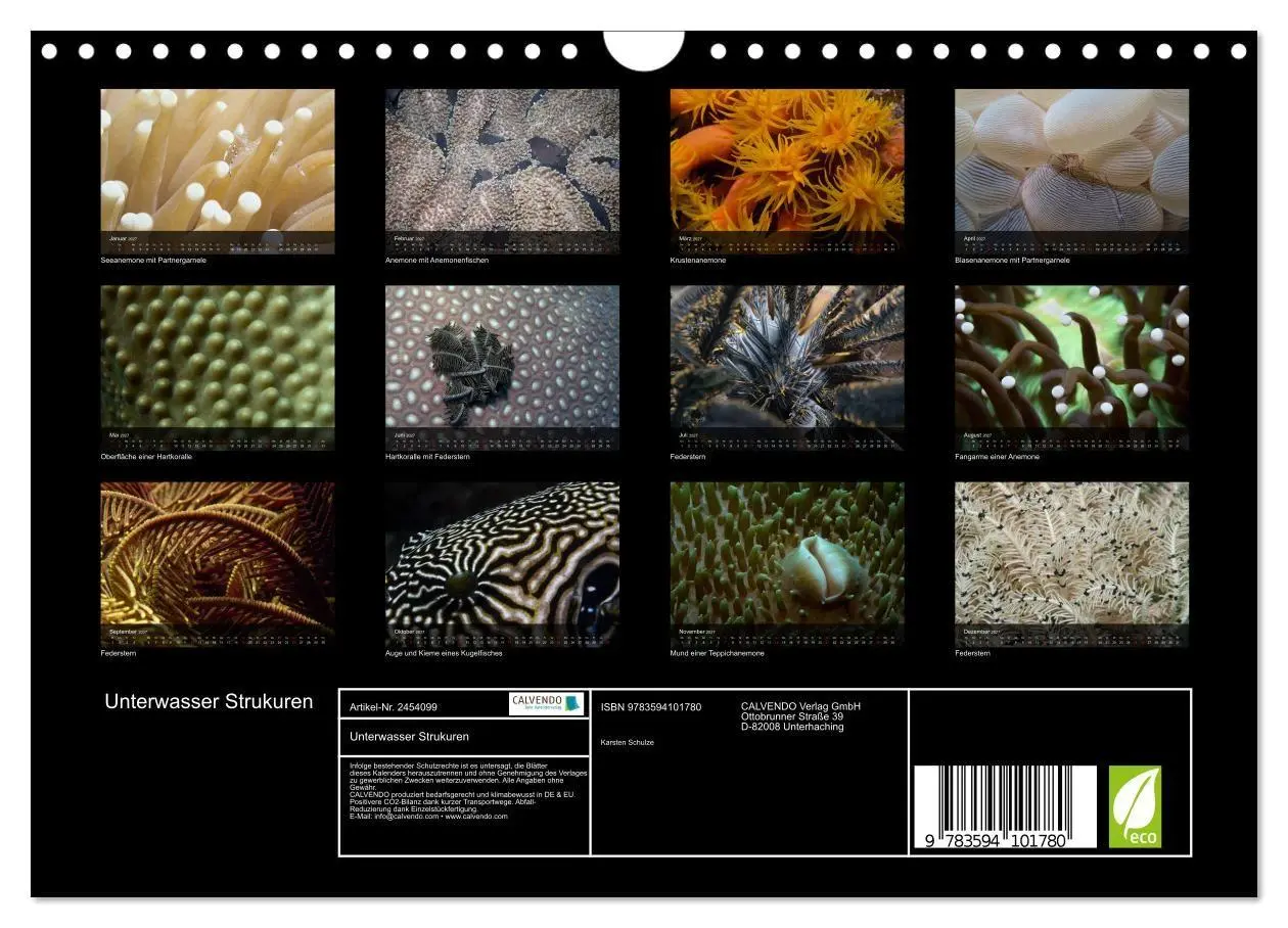 Bild: 9783594101780 | Unterwasser Strukuren (Wandkalender 2027 DIN A4 quer), CALVENDO...
