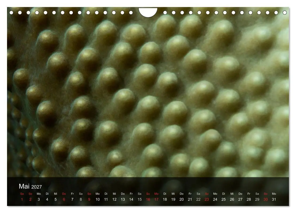 Bild: 9783594101780 | Unterwasser Strukuren (Wandkalender 2027 DIN A4 quer), CALVENDO...