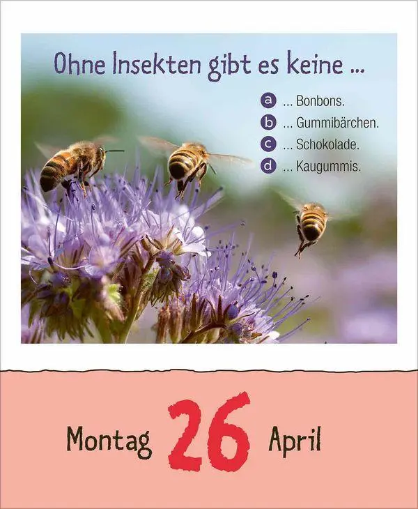 Bild: 9783819301780 | Vorsicht Geheimwissen 2027 | Korsch Verlag | Kalender | 328 S. | 2027