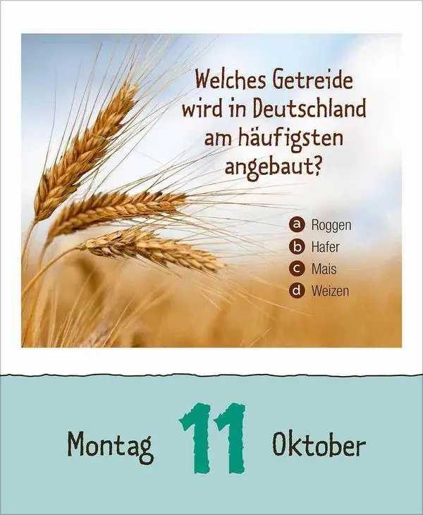 Bild: 9783819301780 | Vorsicht Geheimwissen 2027 | Korsch Verlag | Kalender | 328 S. | 2027