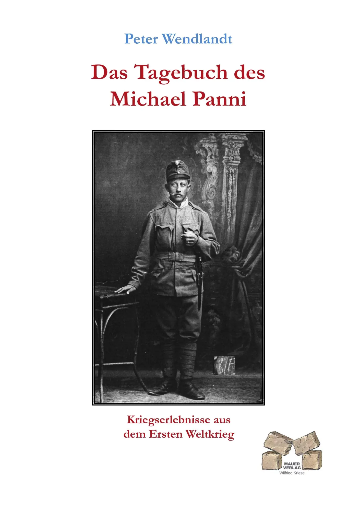 Cover: 9783868121780 | Das Tagebuch des Michael Panni | Peter Wendlandt | Taschenbuch | 2010