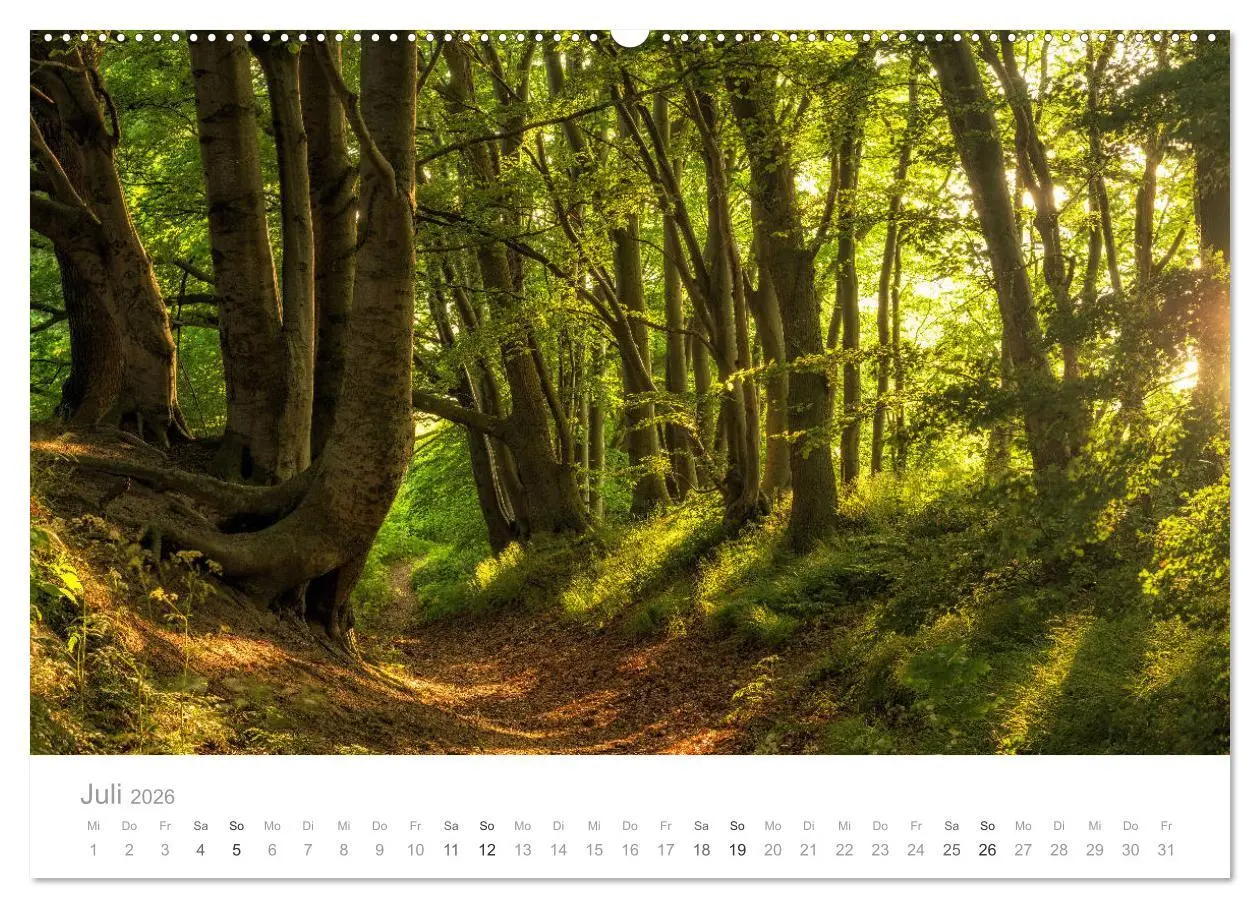 Bild: 9783457881880 | Rügen ein Sommertraum (Wandkalender 2026 DIN A2 quer), CALVENDO...