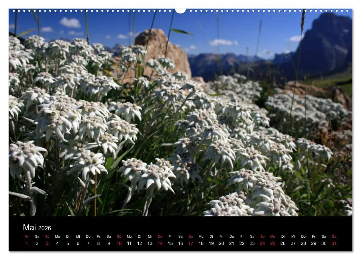 Bild: 9783457951880 | Alpe di Siusi - Seiser Alm (Wandkalender 2026 DIN A2 quer),...
