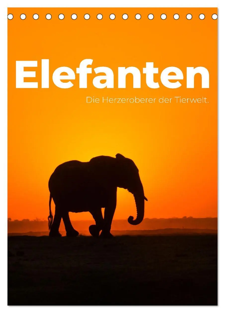 Cover: 9783516351880 | Elefanten - Die Herzeroberer der Tierwelt. (Tischkalender 2026 DIN...