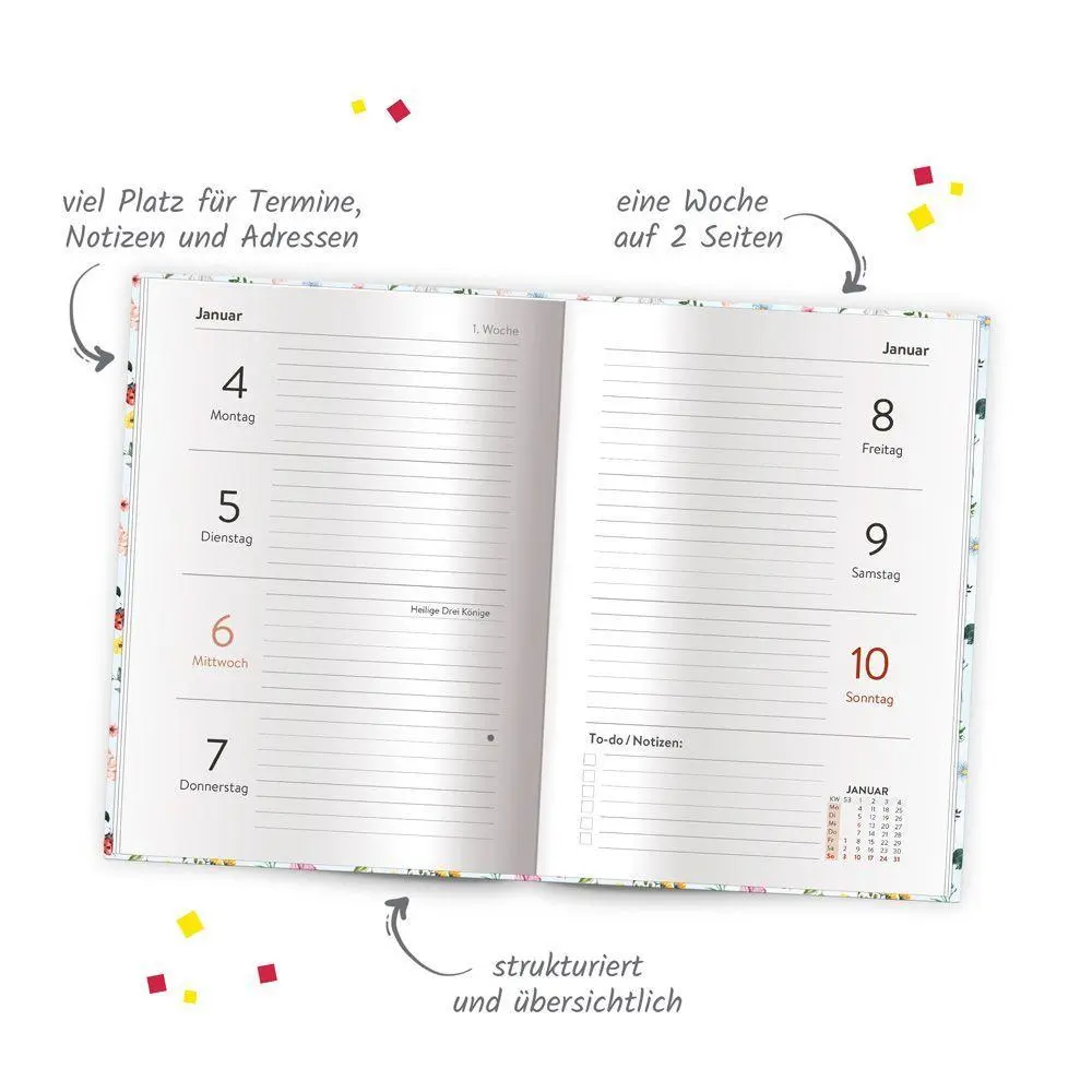 Bild: 4251901511980 | TRÖTSCH - Taschenkalender A6 Marienkäfer 2027 | Wochenkalender | KG