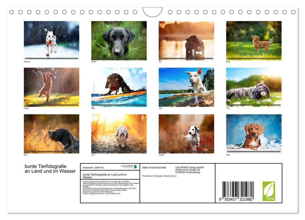 Bild: 9783457321980 | bunte Tierfotografie an Land und im Wasser (Wandkalender 2026 DIN...
