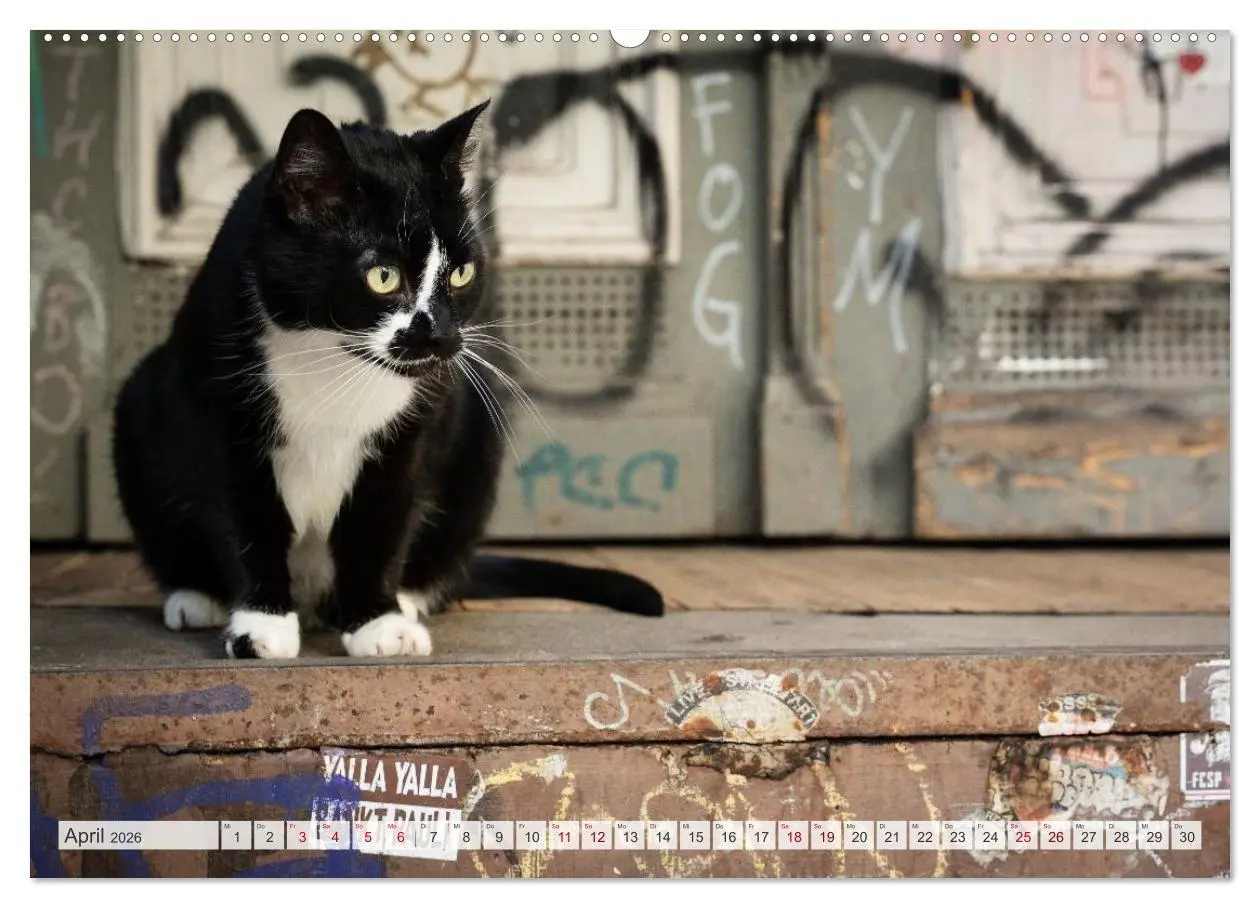 Bild: 9783516721980 | Buntes Hamburg (Wandkalender 2026 DIN A2 quer), CALVENDO...