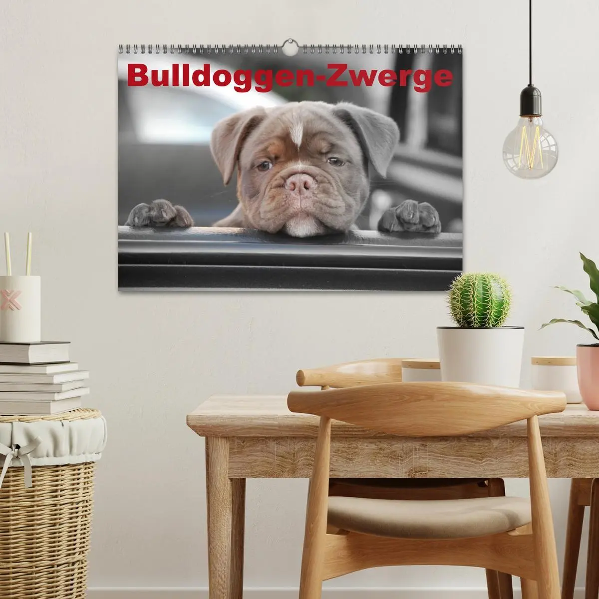 Bild: 9783516162080 | Bulldoggen-Zwerge (Wandkalender 2026 DIN A3 quer), CALVENDO...