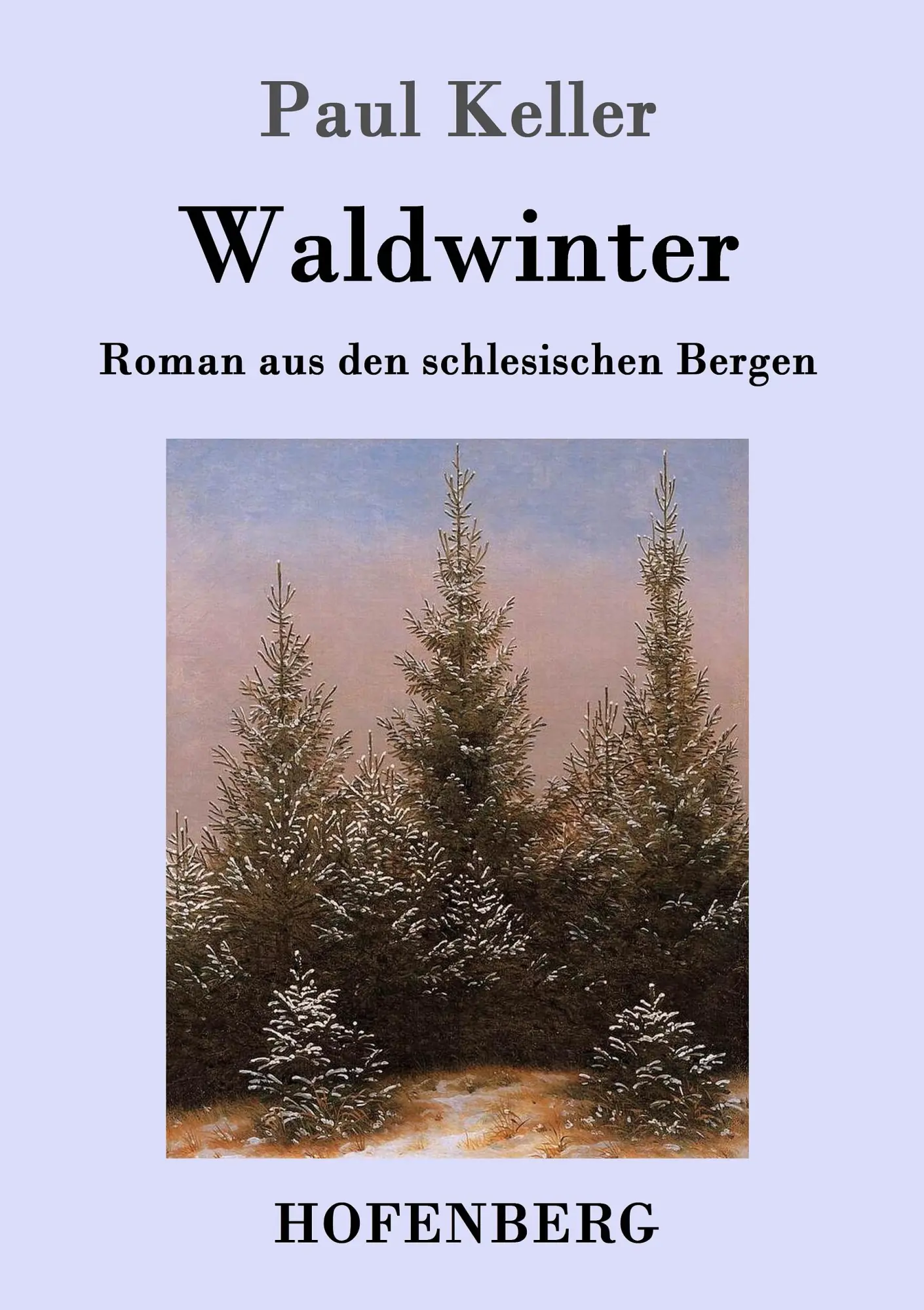Cover: 9783743702080 | Waldwinter | Roman aus den schlesischen Bergen | Paul Keller | Buch