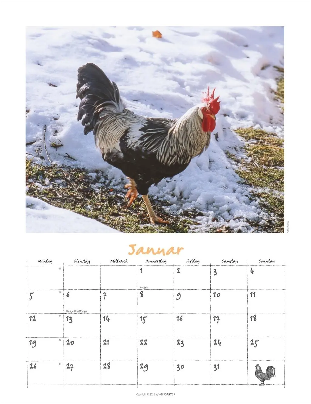 Bild: 9783839902080 | Der Hühnerkalender 2026 | Wolf-Dietmar Unterweger | Kalender | 14 S.