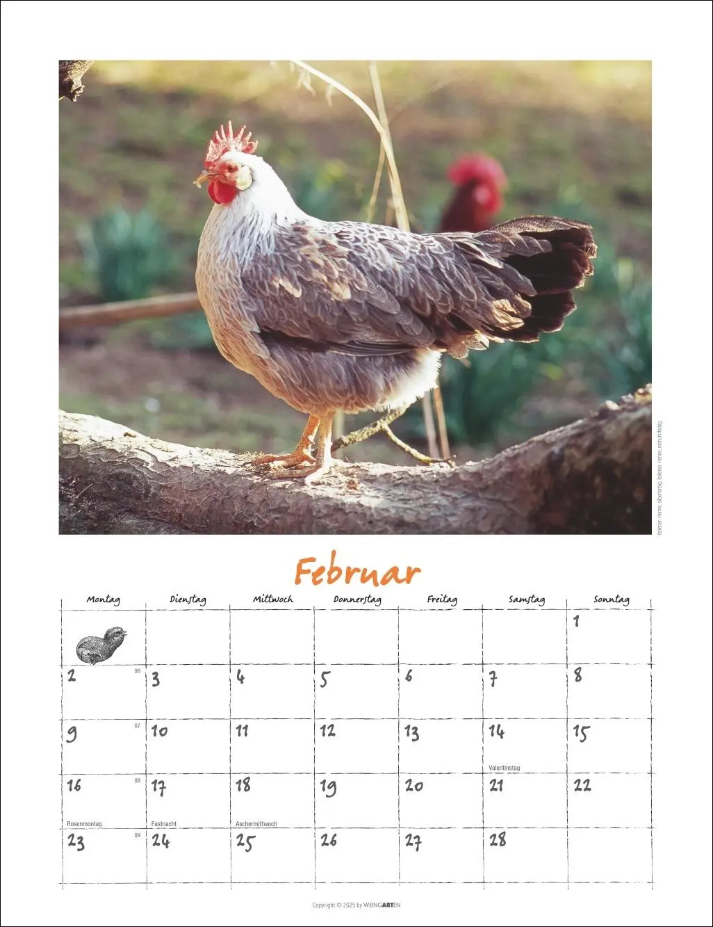 Bild: 9783839902080 | Der Hühnerkalender 2026 | Wolf-Dietmar Unterweger | Kalender | 14 S.