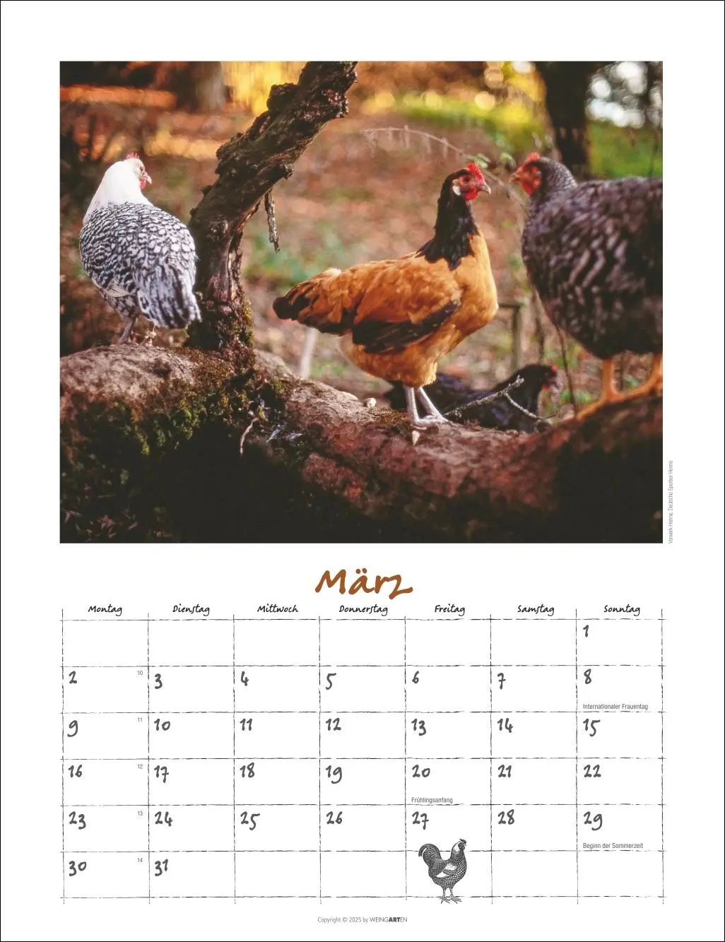 Bild: 9783839902080 | Der Hühnerkalender 2026 | Wolf-Dietmar Unterweger | Kalender | 14 S.