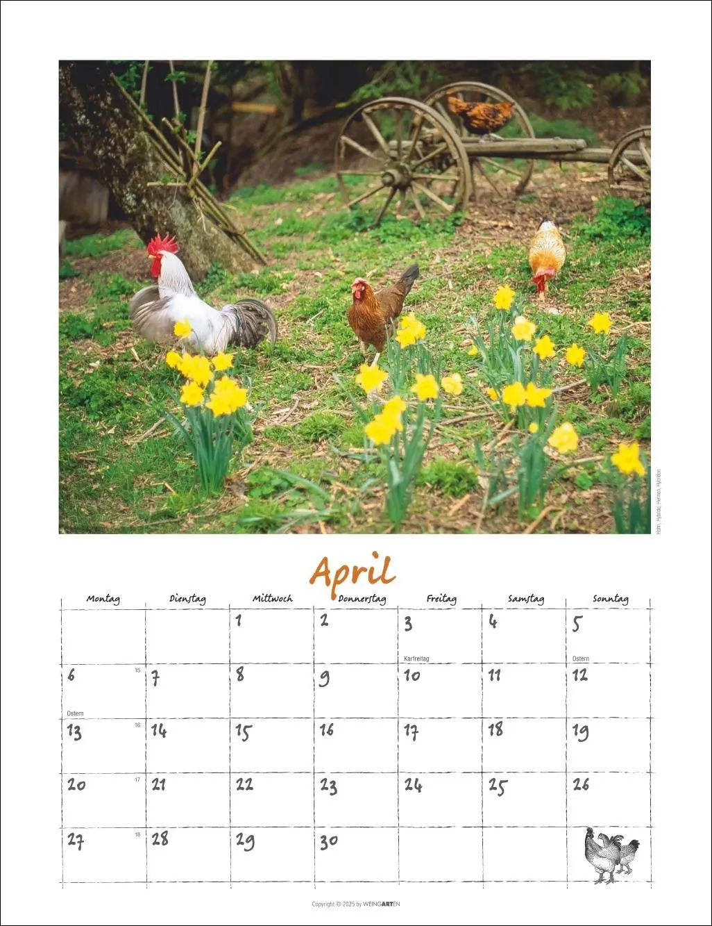 Bild: 9783839902080 | Der Hühnerkalender 2026 | Wolf-Dietmar Unterweger | Kalender | 14 S.