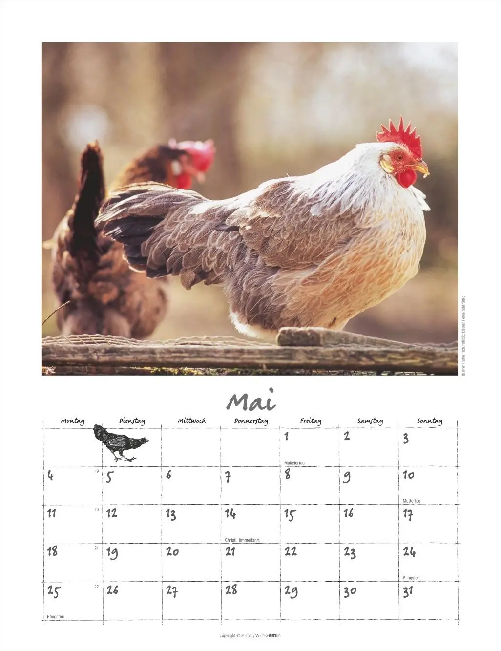 Bild: 9783839902080 | Der Hühnerkalender 2026 | Wolf-Dietmar Unterweger | Kalender | 14 S.