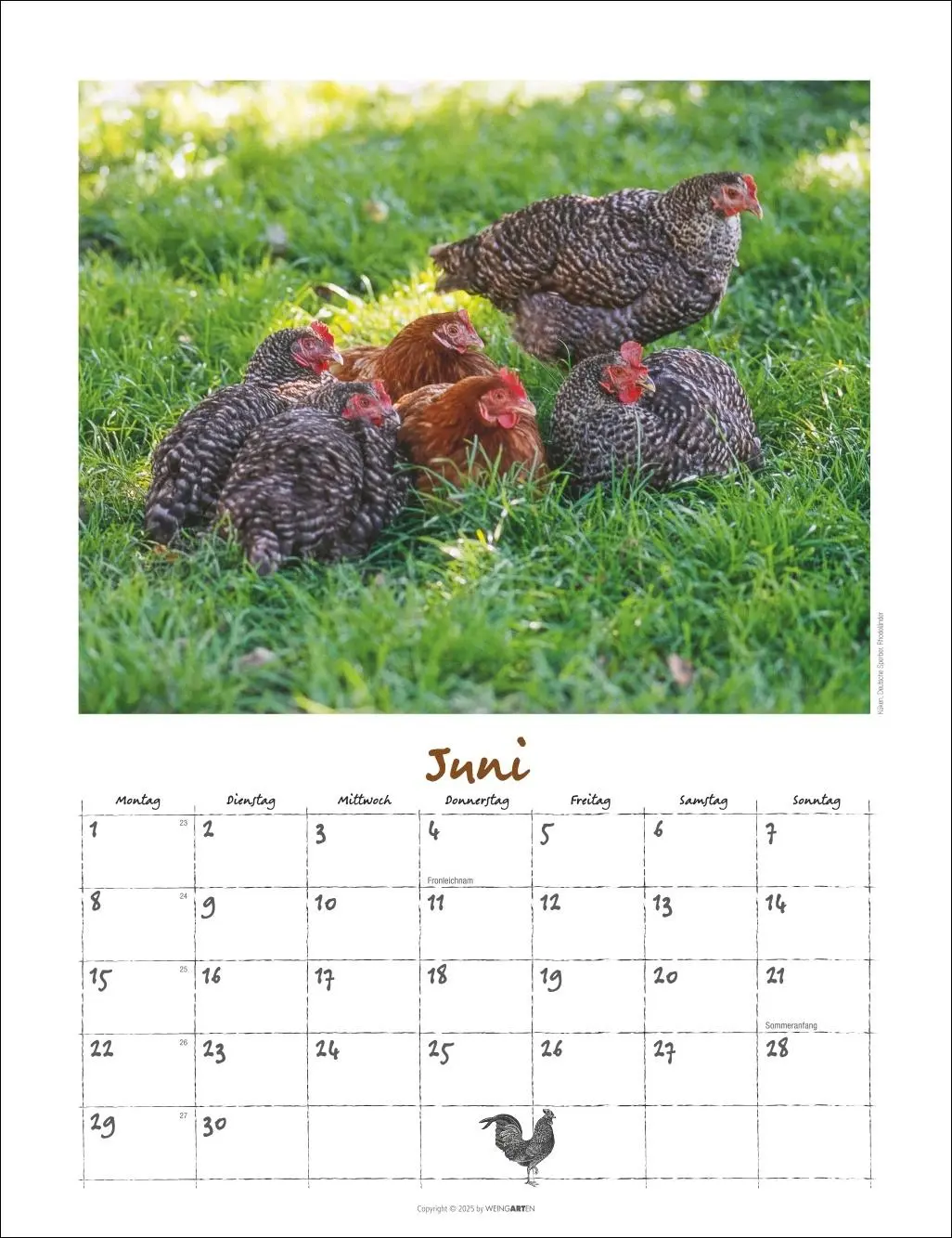 Bild: 9783839902080 | Der Hühnerkalender 2026 | Wolf-Dietmar Unterweger | Kalender | 14 S.
