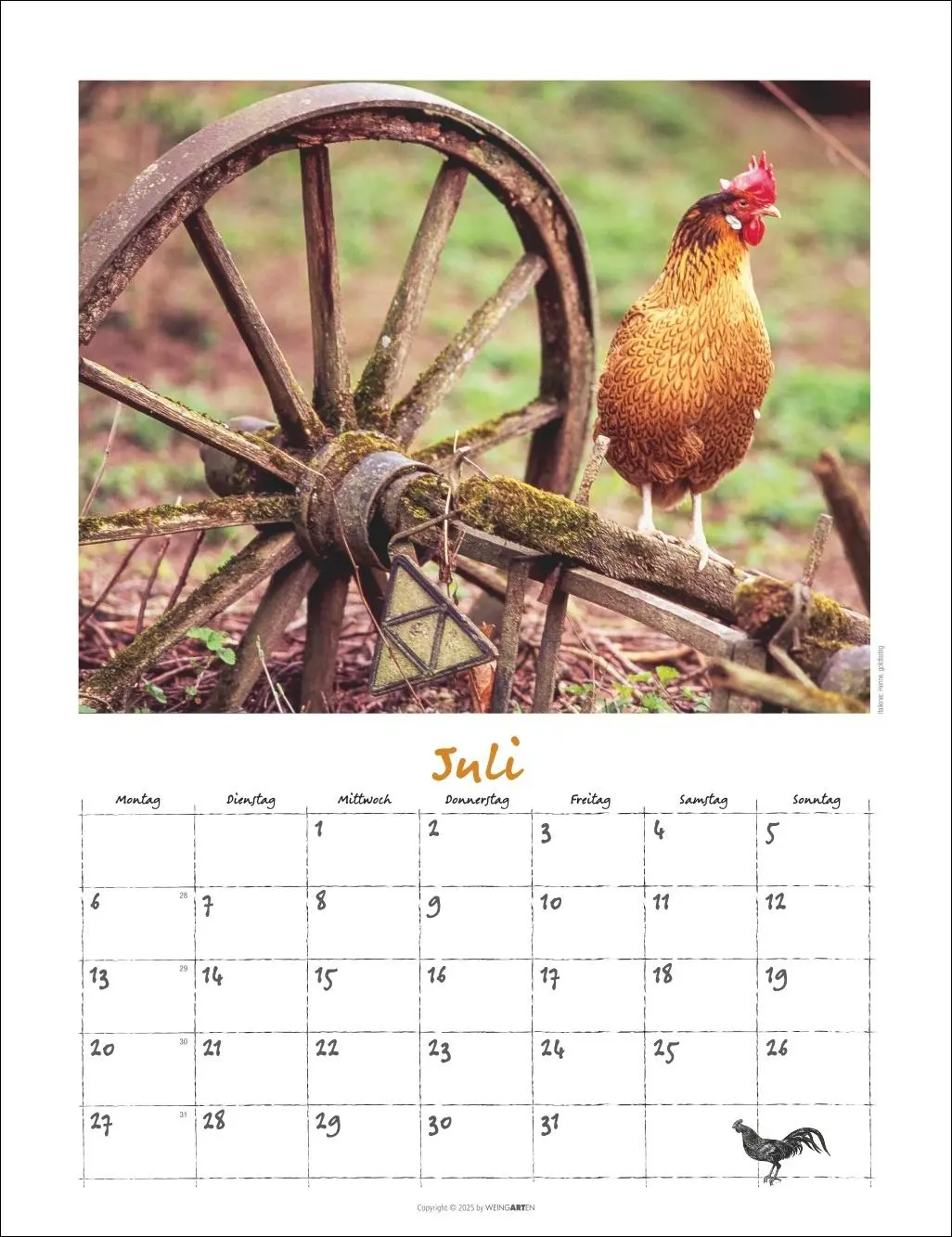 Bild: 9783839902080 | Der Hühnerkalender 2026 | Wolf-Dietmar Unterweger | Kalender | 14 S.
