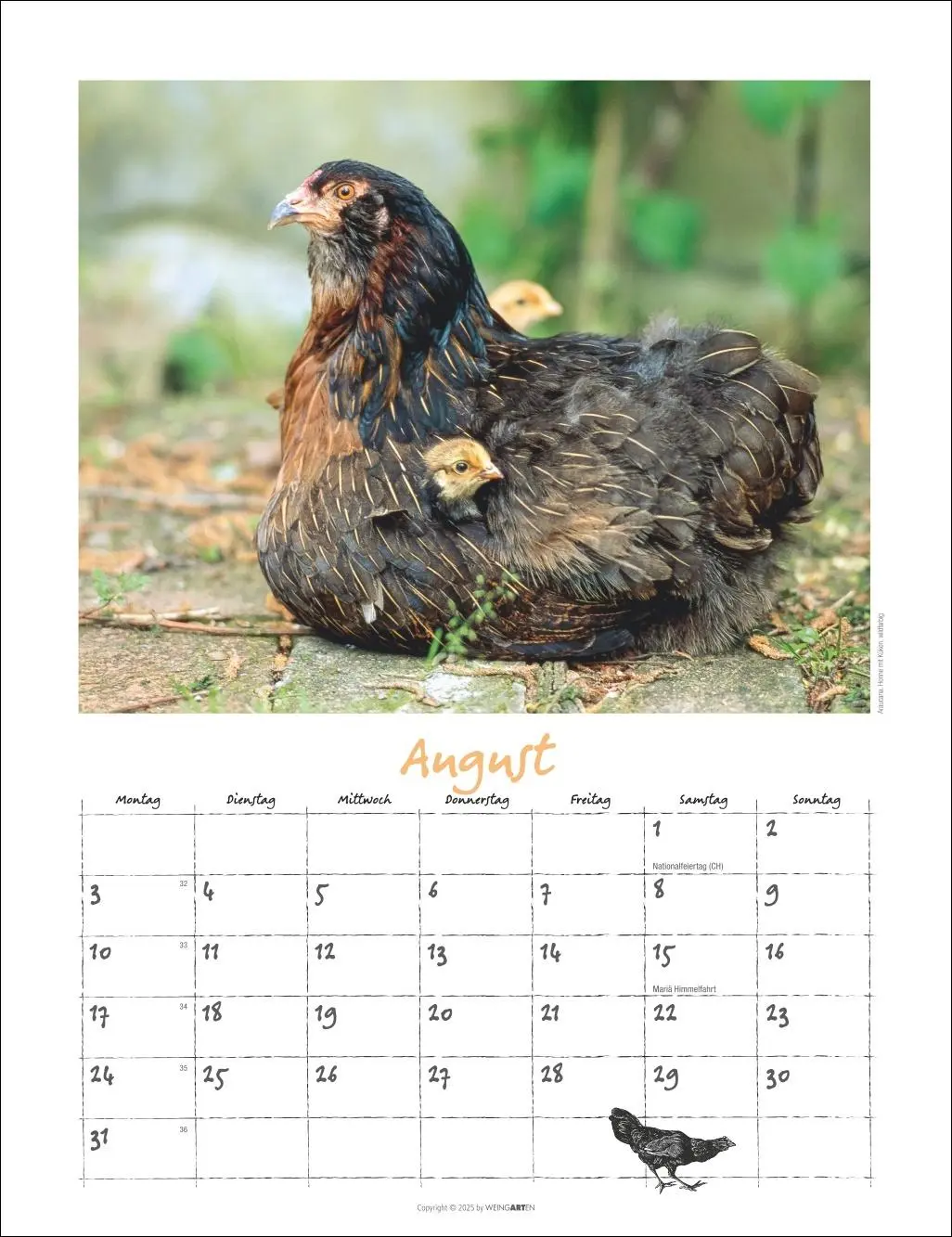 Bild: 9783839902080 | Der Hühnerkalender 2026 | Wolf-Dietmar Unterweger | Kalender | 14 S.