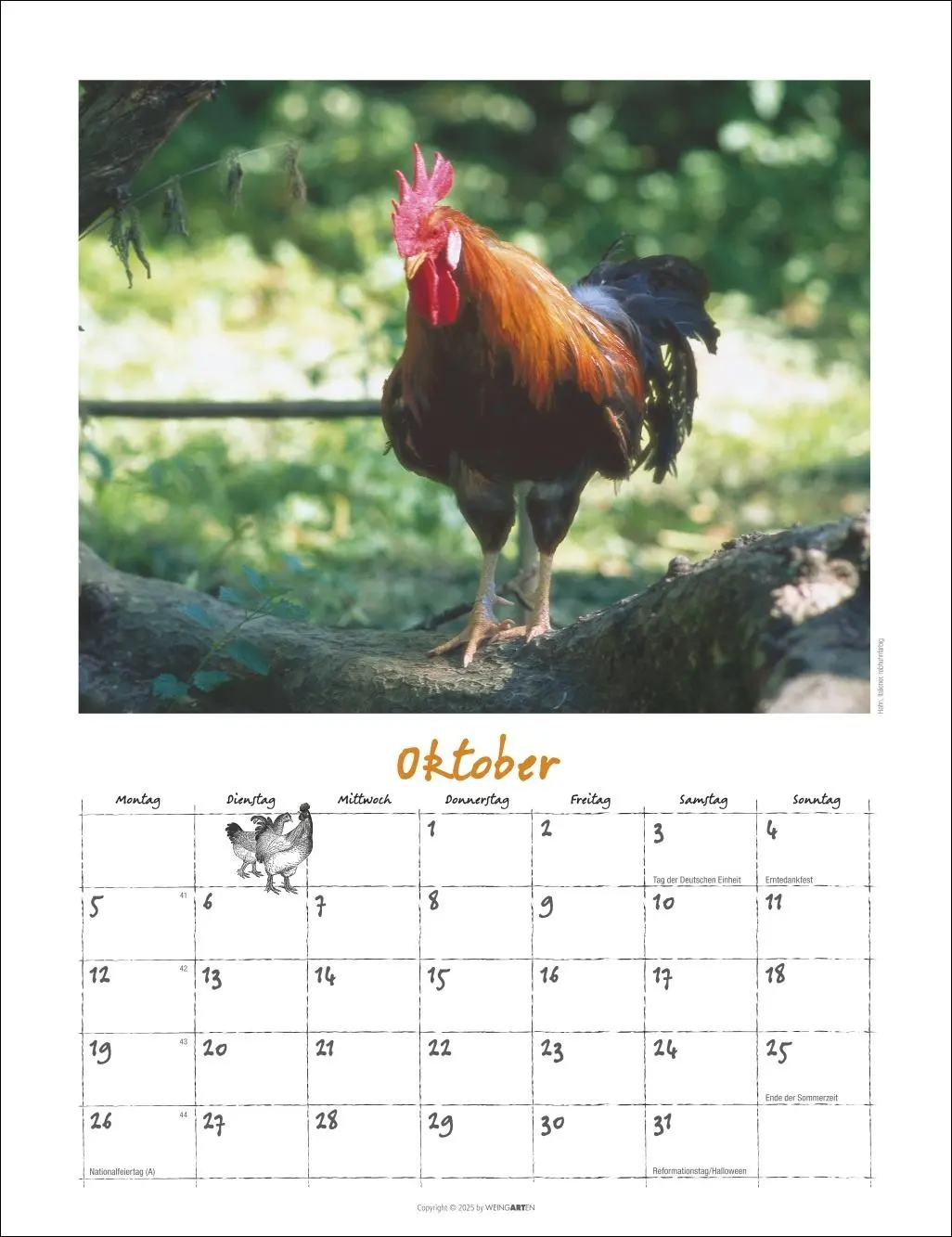 Bild: 9783839902080 | Der Hühnerkalender 2026 | Wolf-Dietmar Unterweger | Kalender | 14 S.