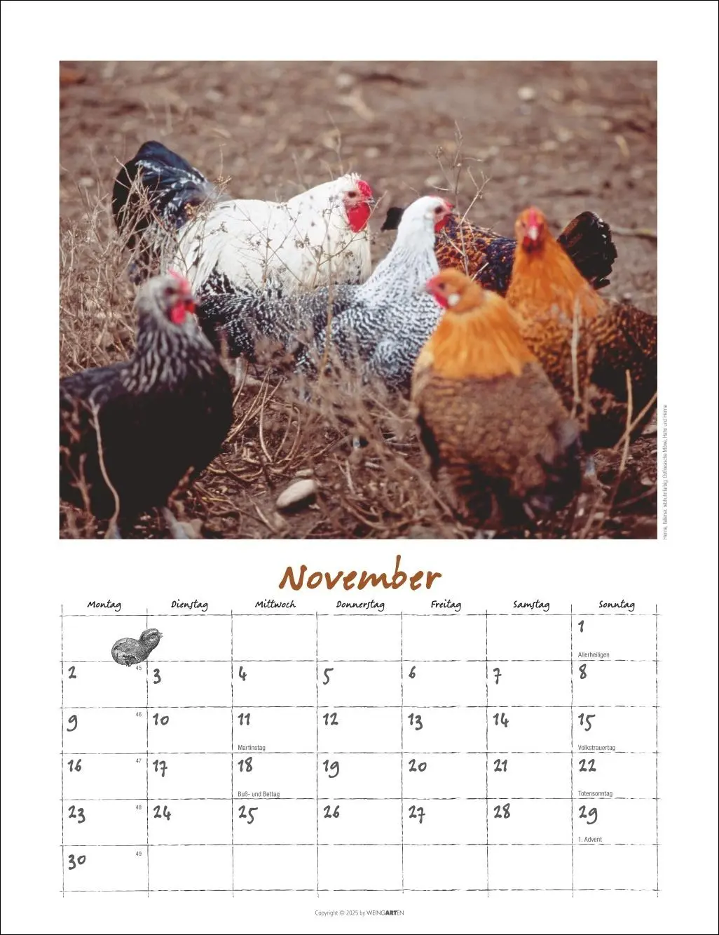 Bild: 9783839902080 | Der Hühnerkalender 2026 | Wolf-Dietmar Unterweger | Kalender | 14 S.