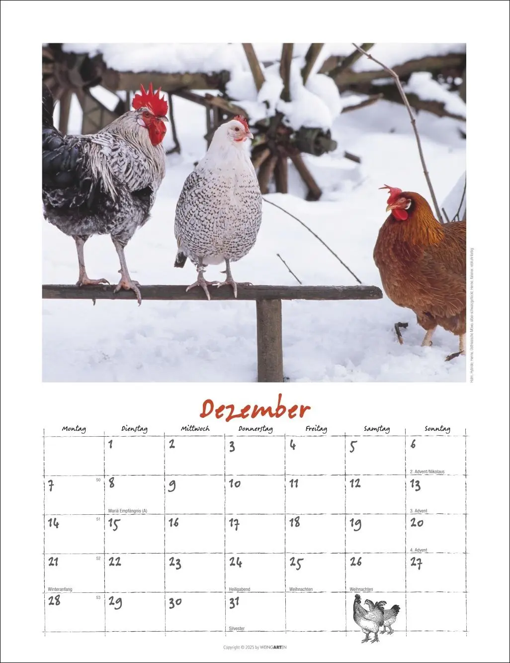 Bild: 9783839902080 | Der Hühnerkalender 2026 | Wolf-Dietmar Unterweger | Kalender | 14 S.