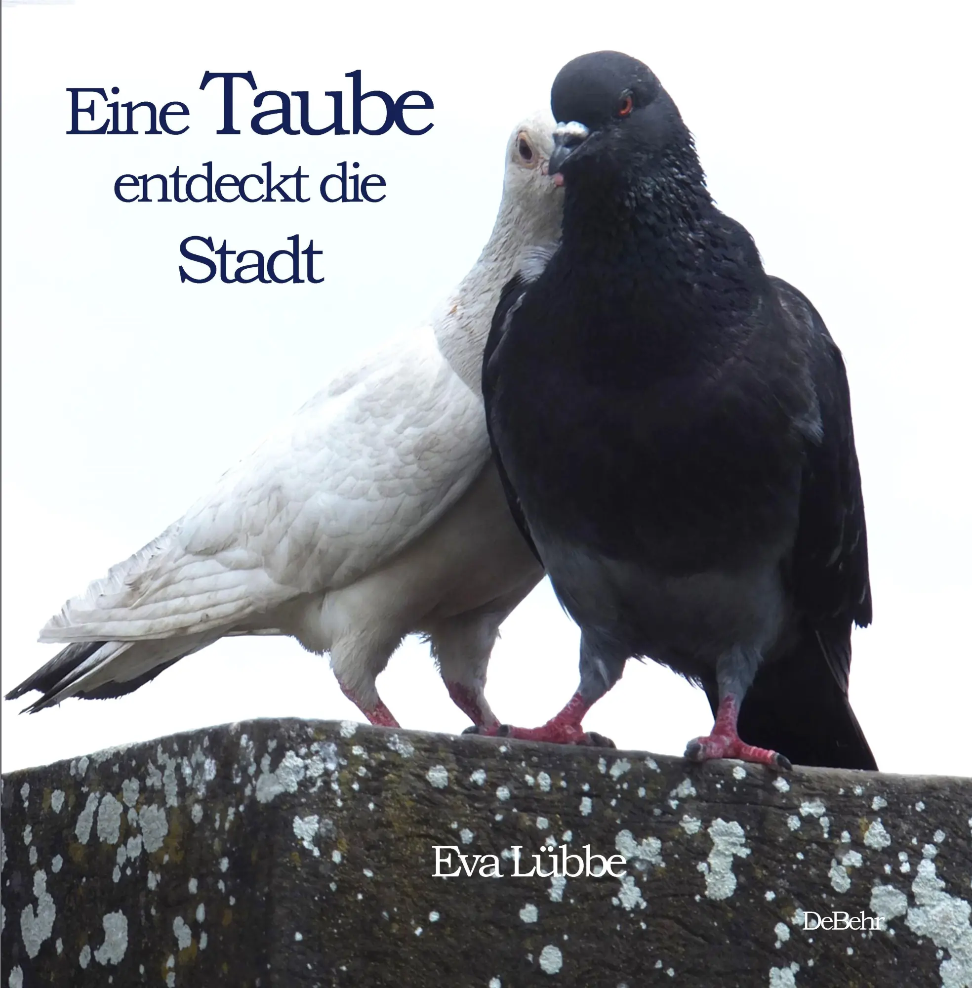 Cover: 9783987272080 | Eine Taube entdeckt die Stadt | Eva Lübbe | Taschenbuch | 22 S. | 2025