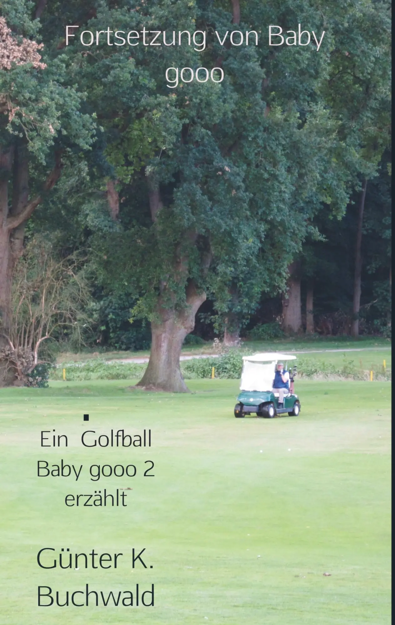 Cover: 9789463862080 | Ein Golfball Baby gooo 2 erzählt | Fortsetzung von Baby gooo | Buch
