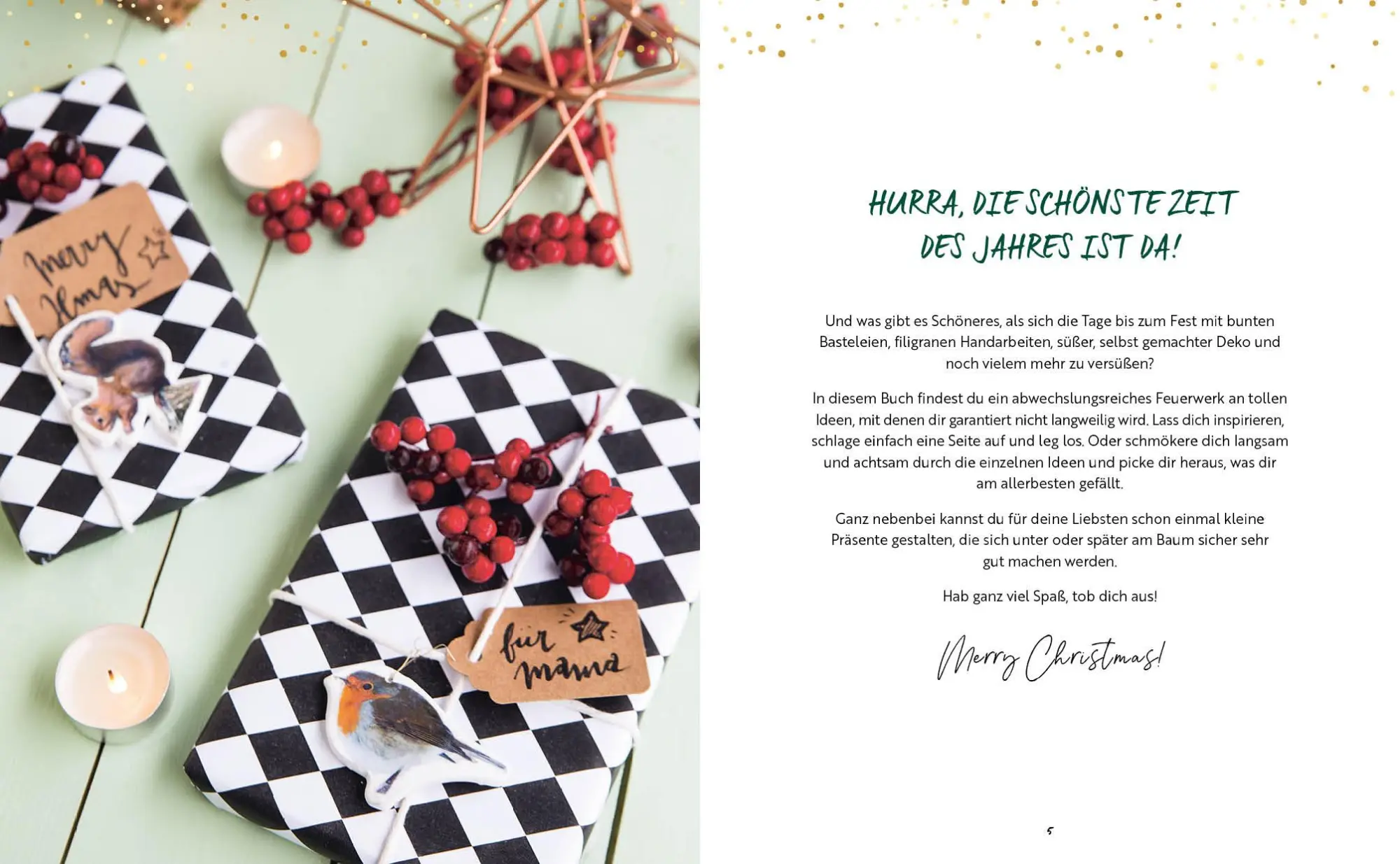 Bild: 9783745912180 | DIY - Do it yourself - Merry christmas | Wiebke Schröder (u. a.)