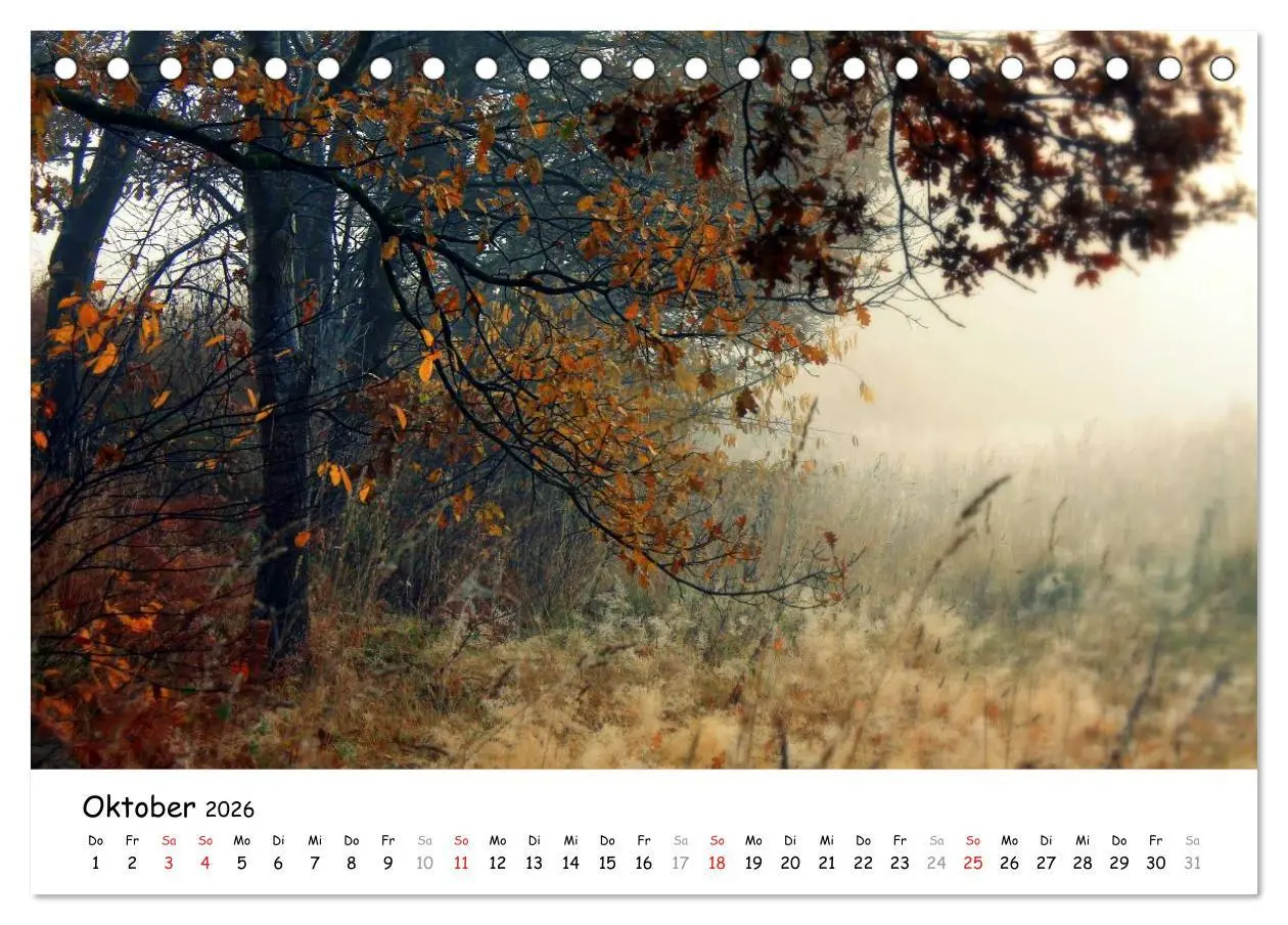 Bild: 9783516072280 | Unterwegs im Teufelsmoor (Tischkalender 2026 DIN A5 quer), CALVENDO...