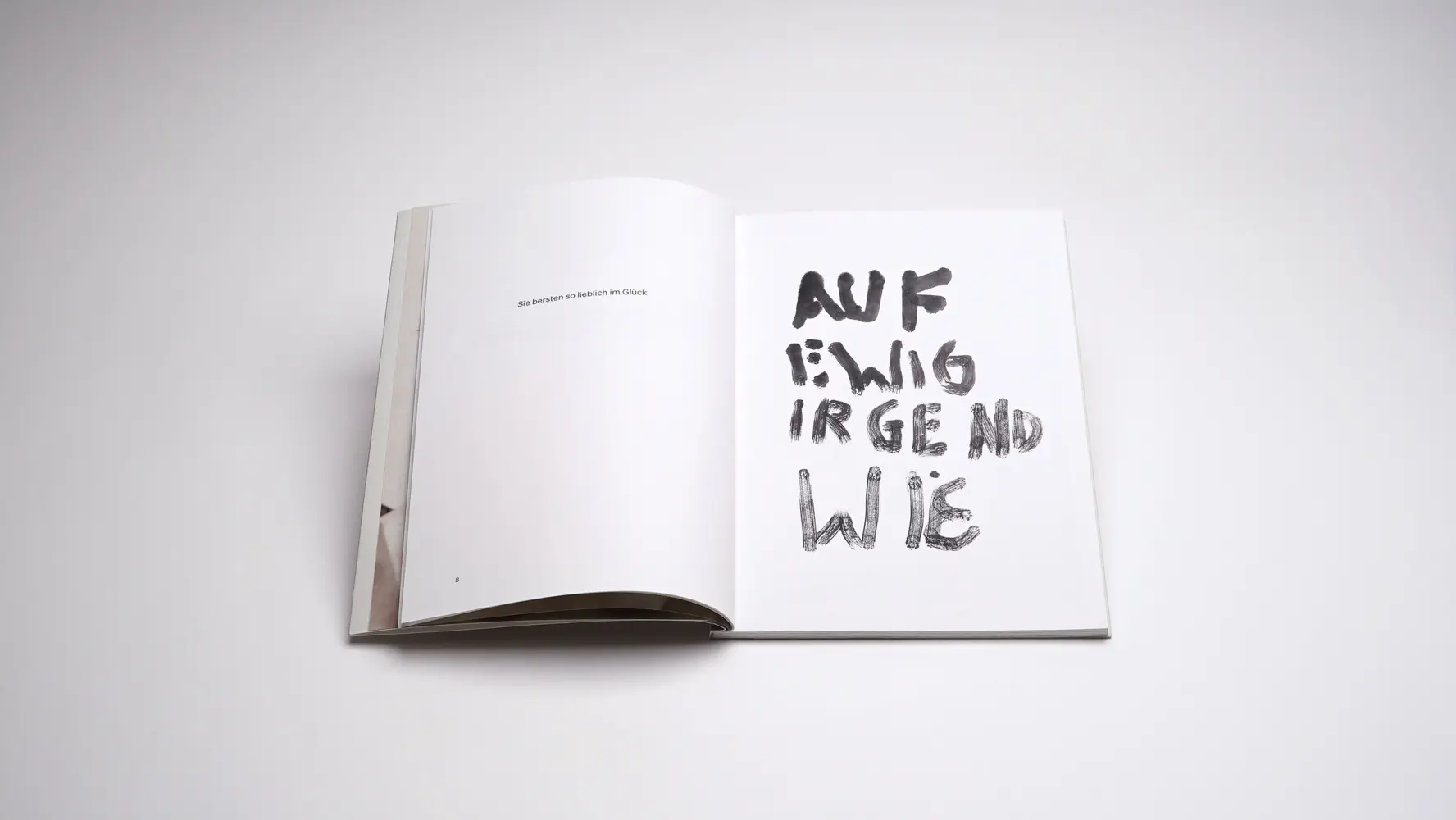 Bild: 9783969122280 | Liebe +- | Roland Schappert | Taschenbuch | 80 S. | Deutsch | 2025