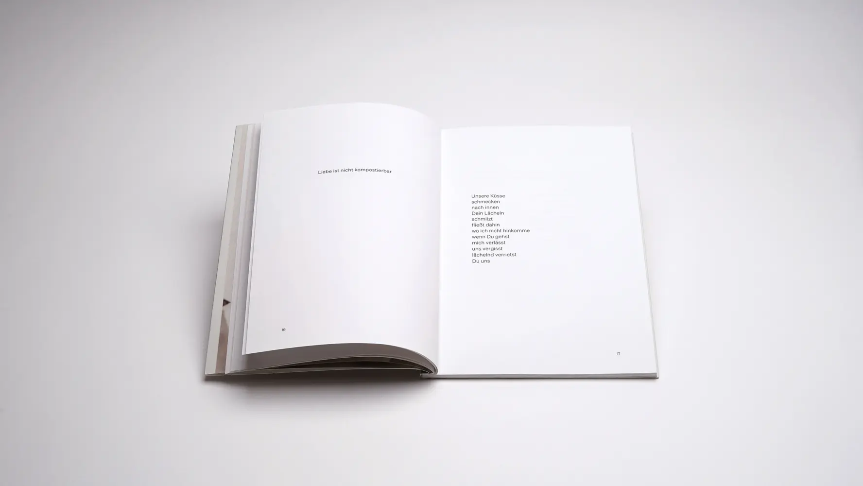 Bild: 9783969122280 | Liebe +- | Roland Schappert | Taschenbuch | 80 S. | Deutsch | 2025