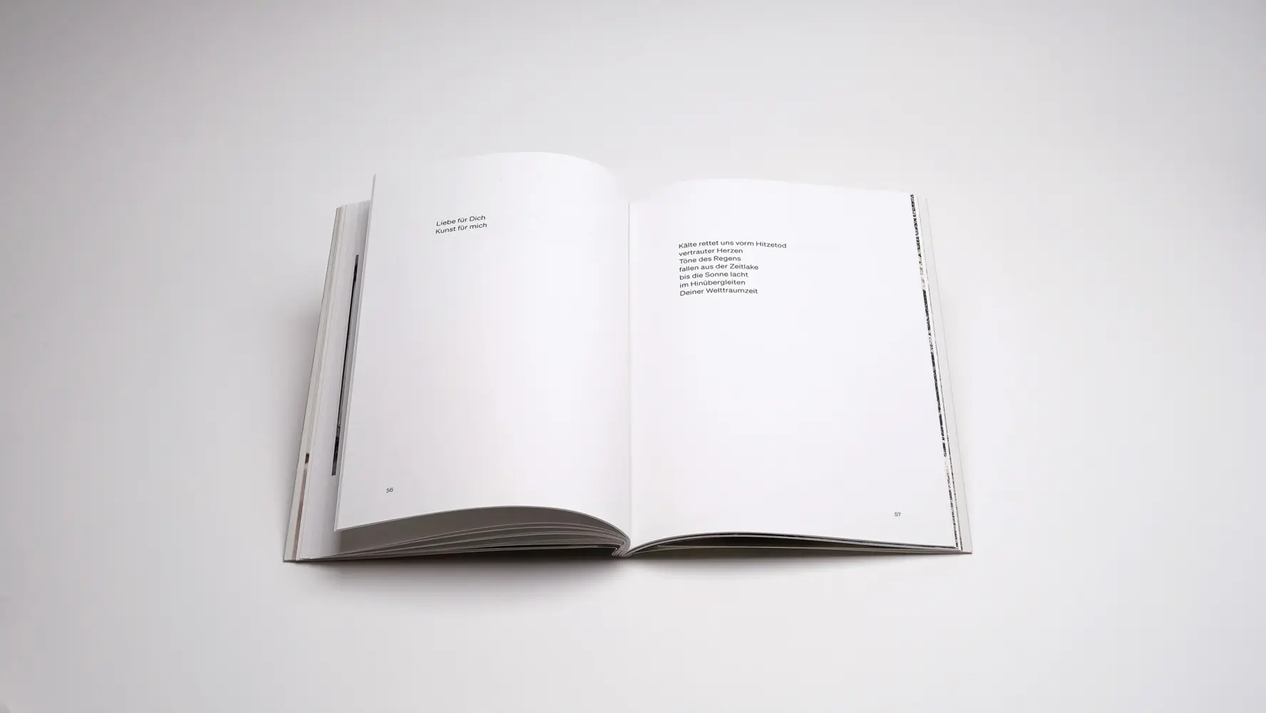 Bild: 9783969122280 | Liebe +- | Roland Schappert | Taschenbuch | 80 S. | Deutsch | 2025