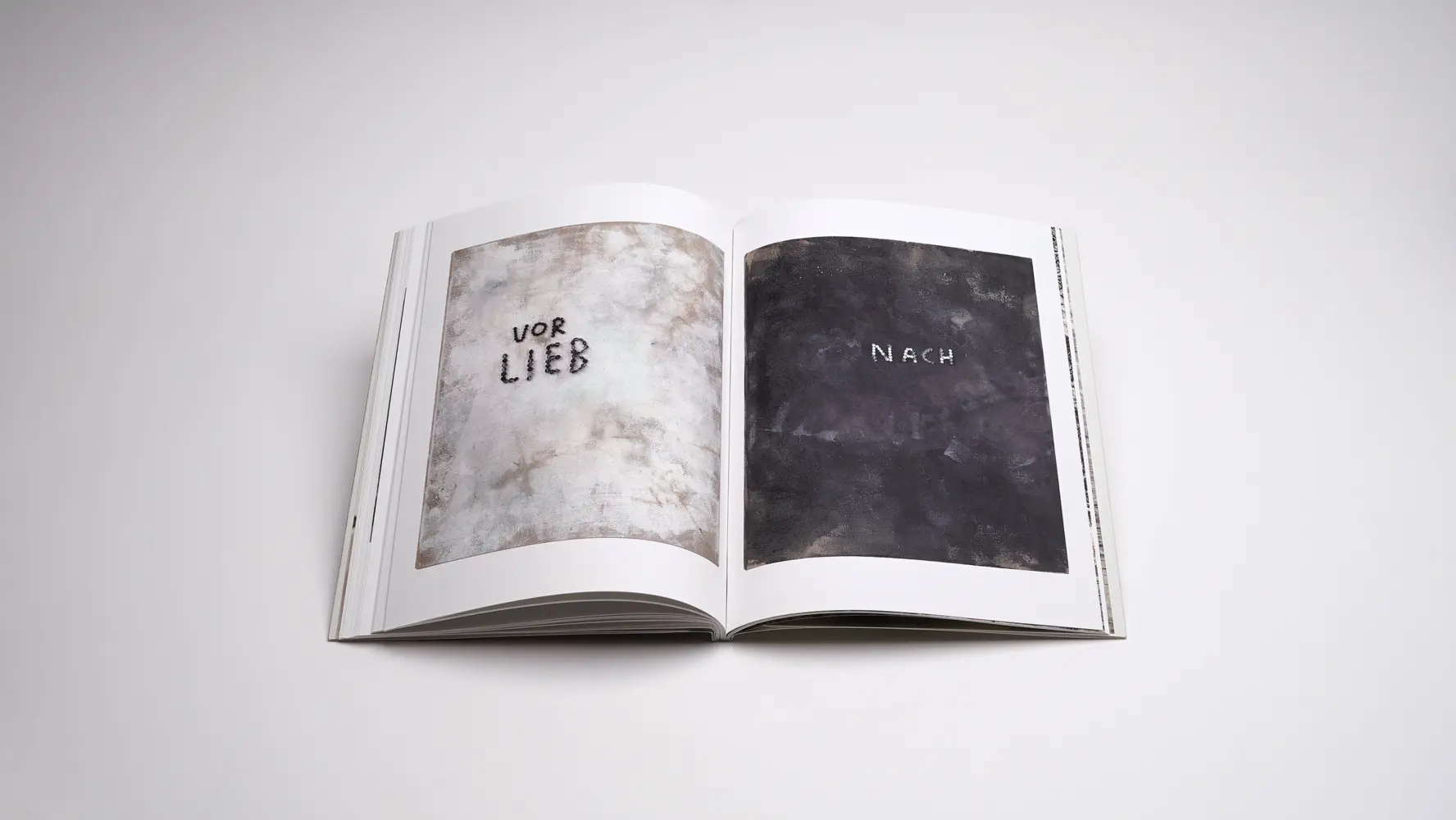 Bild: 9783969122280 | Liebe +- | Roland Schappert | Taschenbuch | 80 S. | Deutsch | 2025