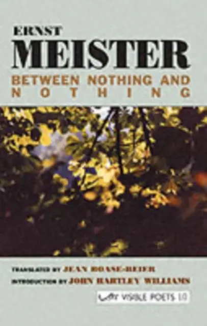 Cover: 9781900072380 | Between Nothing and Nothing | Ernst Meister | Taschenbuch | Englisch