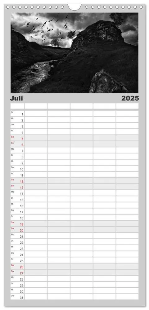 Bild: 9783457112380 | Familienplaner 2025 - Gothic Fantasy mit 5 Spalten (Wandkalender,...