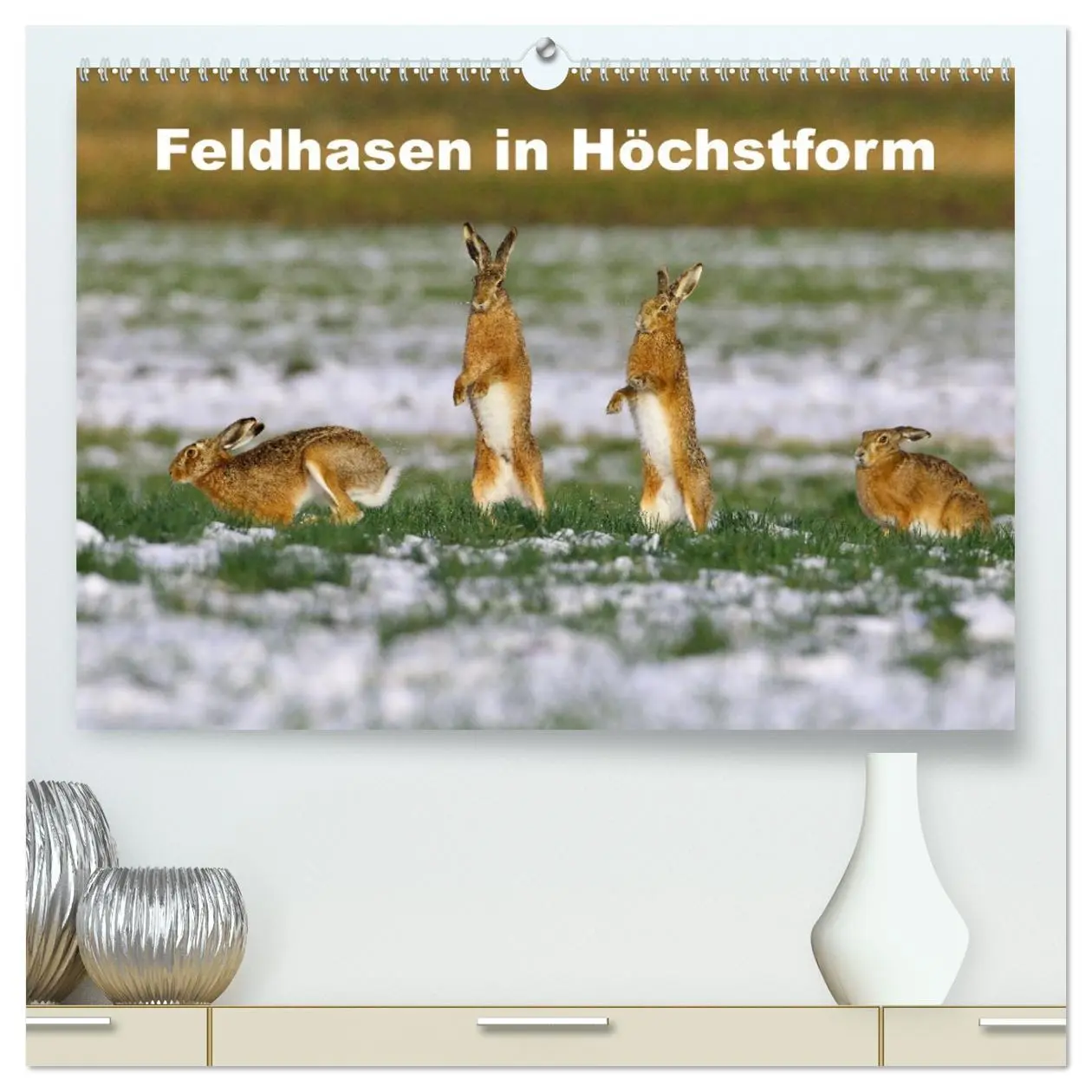 Cover: 9783457422380 | Feldhasen in Höchstform (hochwertiger Premium Wandkalender 2026 DIN...