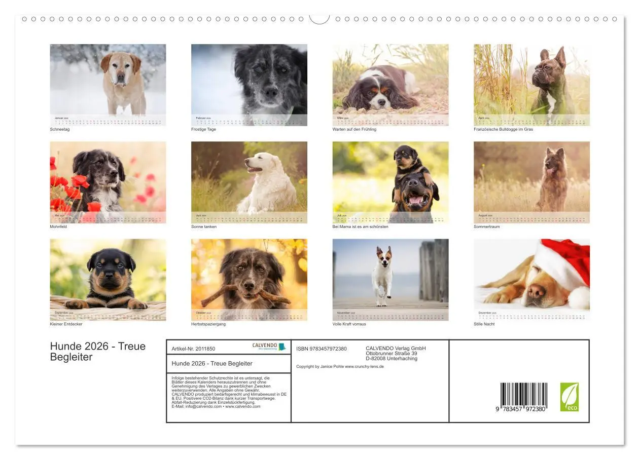 Bild: 9783457972380 | Hunde 2026 - Treue Begleiter (hochwertiger Premium Wandkalender...