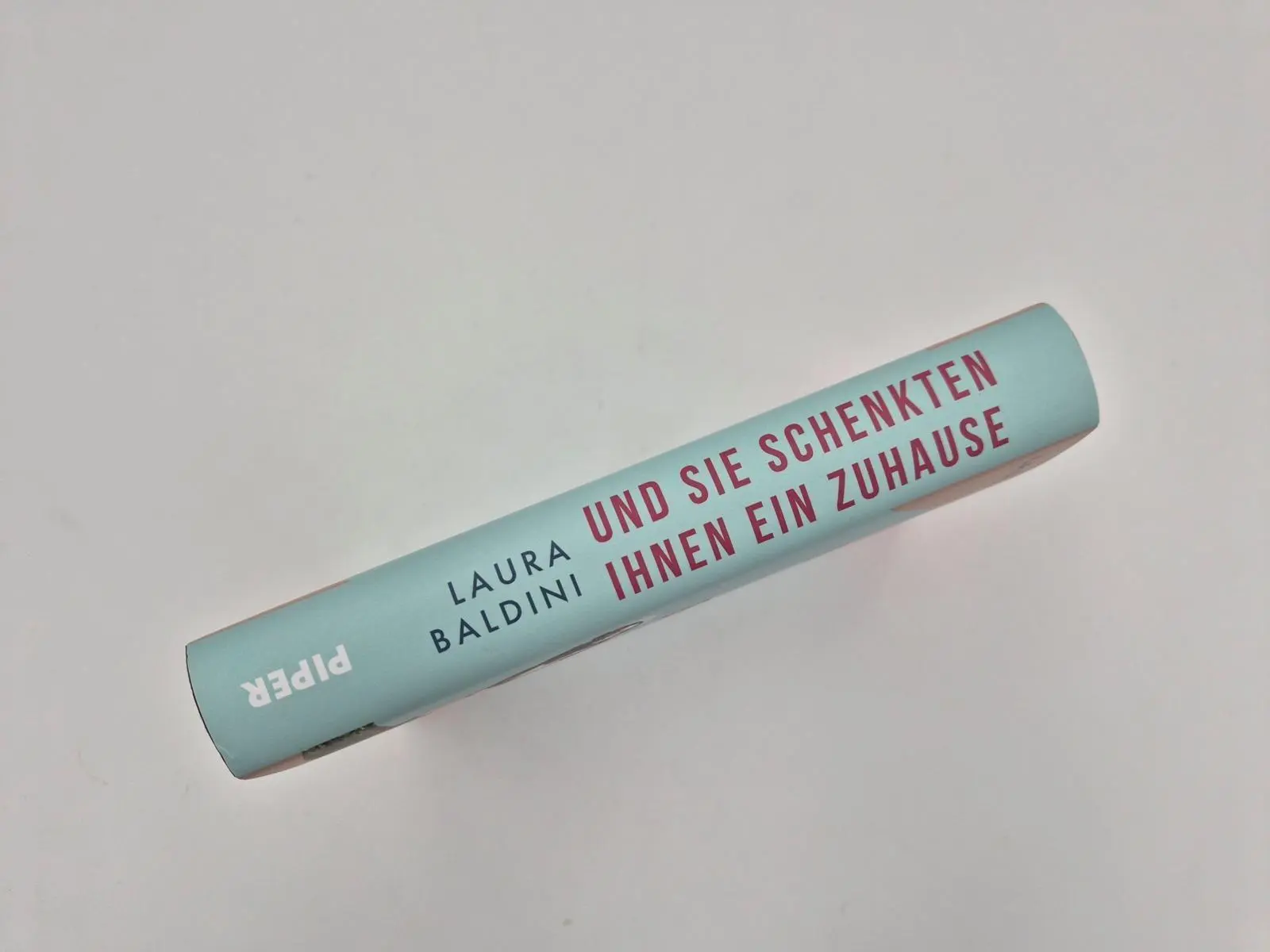 Bild: 9783492072380 | Und sie schenkten ihnen ein Zuhause | Laura Baldini | Buch | 336 S.