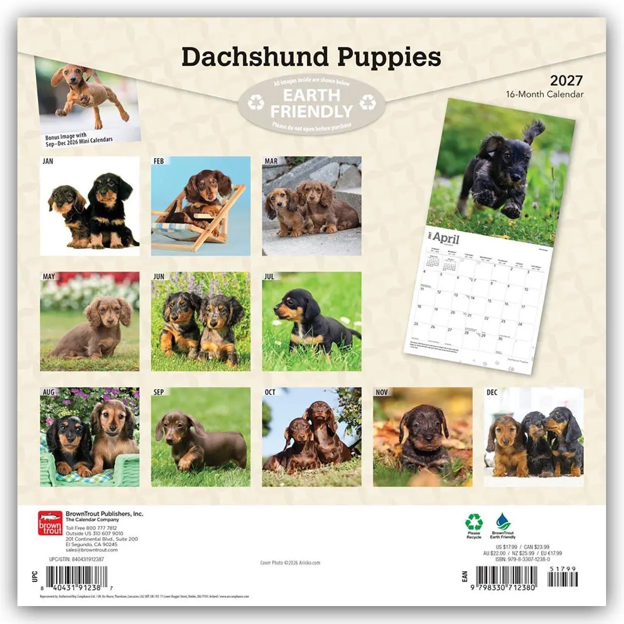 Rückseite: 9798330712380 | Dachshund Puppies - Dackel Welpen 2027 - 16-Monatskalender | Kalender