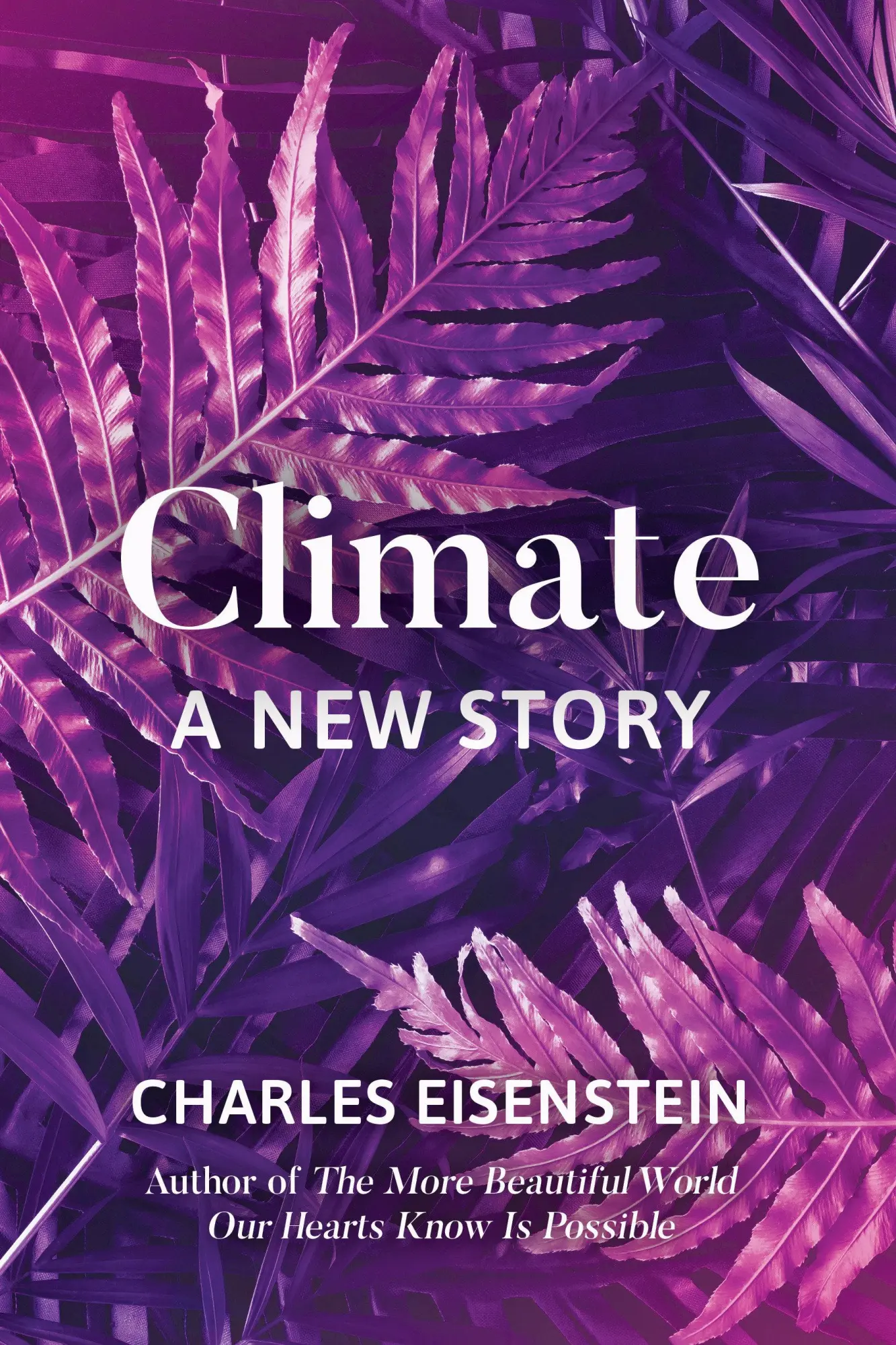 Cover: 9781623172480 | Climate | A New Story | Charles Eisenstein | Taschenbuch | Englisch Cover: 9781623172480 | Climate | A New Story | Charles Eisenstein | Taschenbuch | Englisch