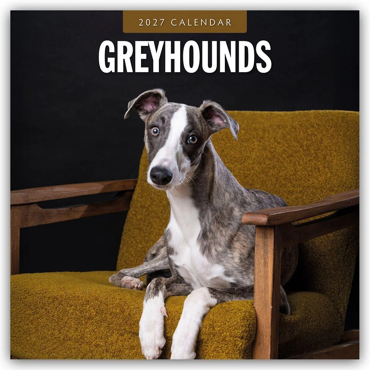 Cover: 9781837012480 | Greyhound - Windhund 2027 - 16-Monatskalender | Robin Red | Kalender