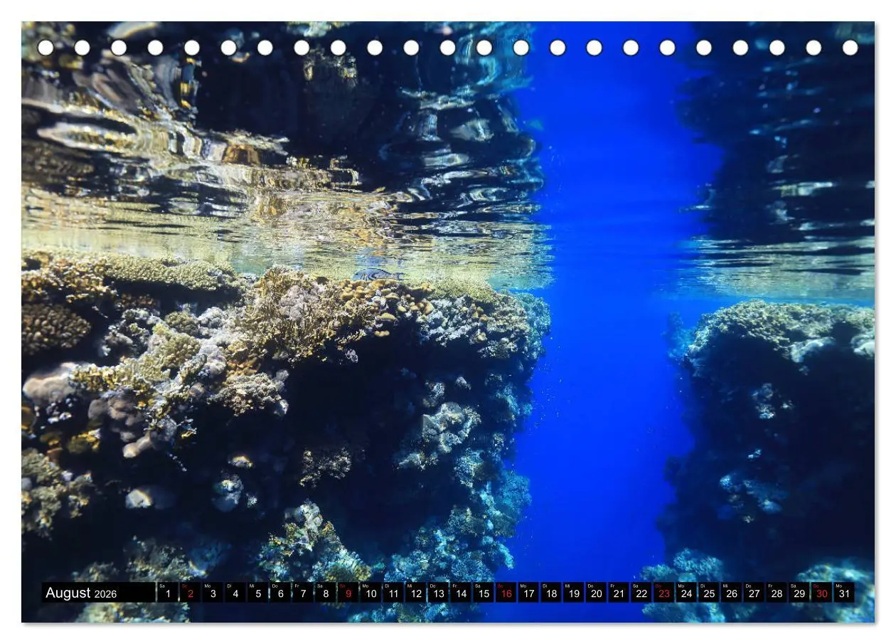 Bild: 9783457722480 | Rotes Meer Unterwasser (Tischkalender 2026 DIN A5 quer), CALVENDO...