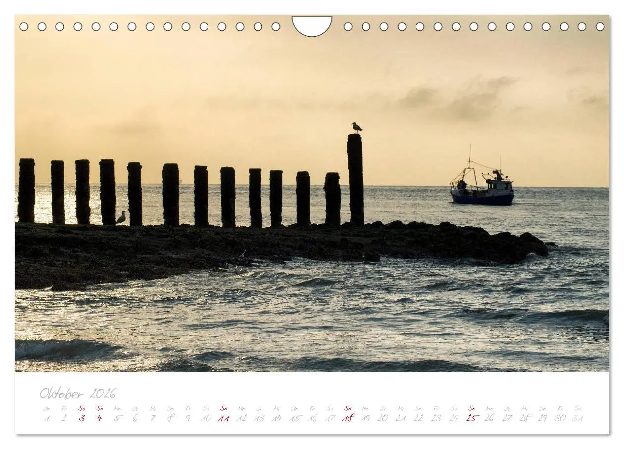Bild: 9783516122480 | Zeeland (Wandkalender 2026 DIN A4 quer), CALVENDO Monatskalender