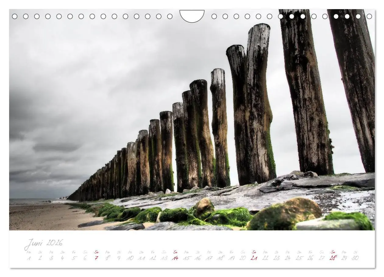Bild: 9783516122480 | Zeeland (Wandkalender 2026 DIN A4 quer), CALVENDO Monatskalender