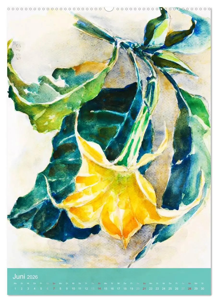Bild: 9783516432480 | Karl Sock Blumenaquarelle (Wandkalender 2026 DIN A2 hoch), CALVENDO...