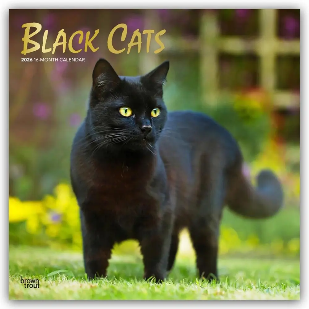 Cover: 9798330702480 | Black Cats 2026 12 X 24 Inch (Hanging) Monthly Square Wall Calendar...