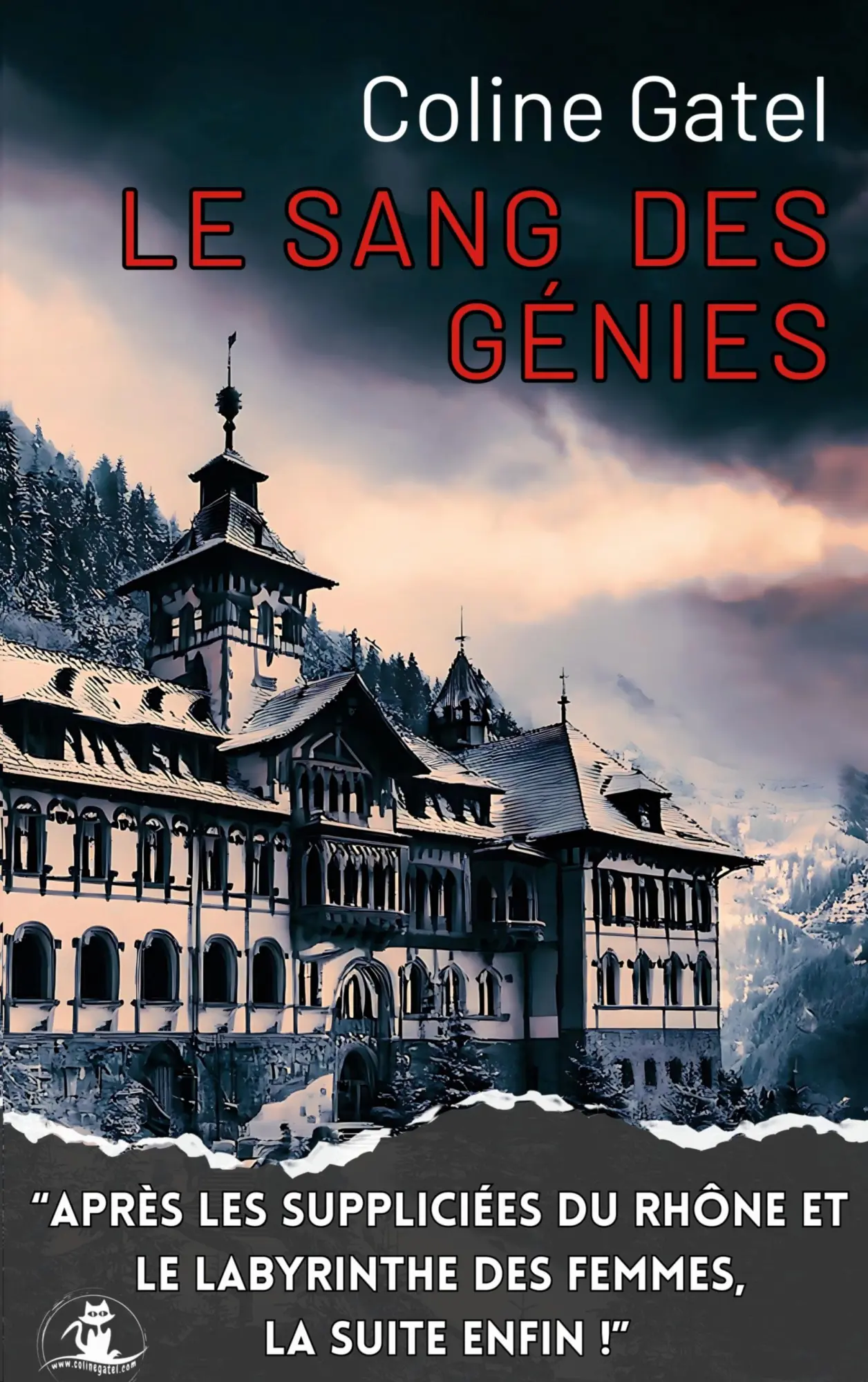 Cover: 9782322622580 | Le Sang des Génies | Félicien Perrier - 3 | Coline Gatel | Taschenbuch
