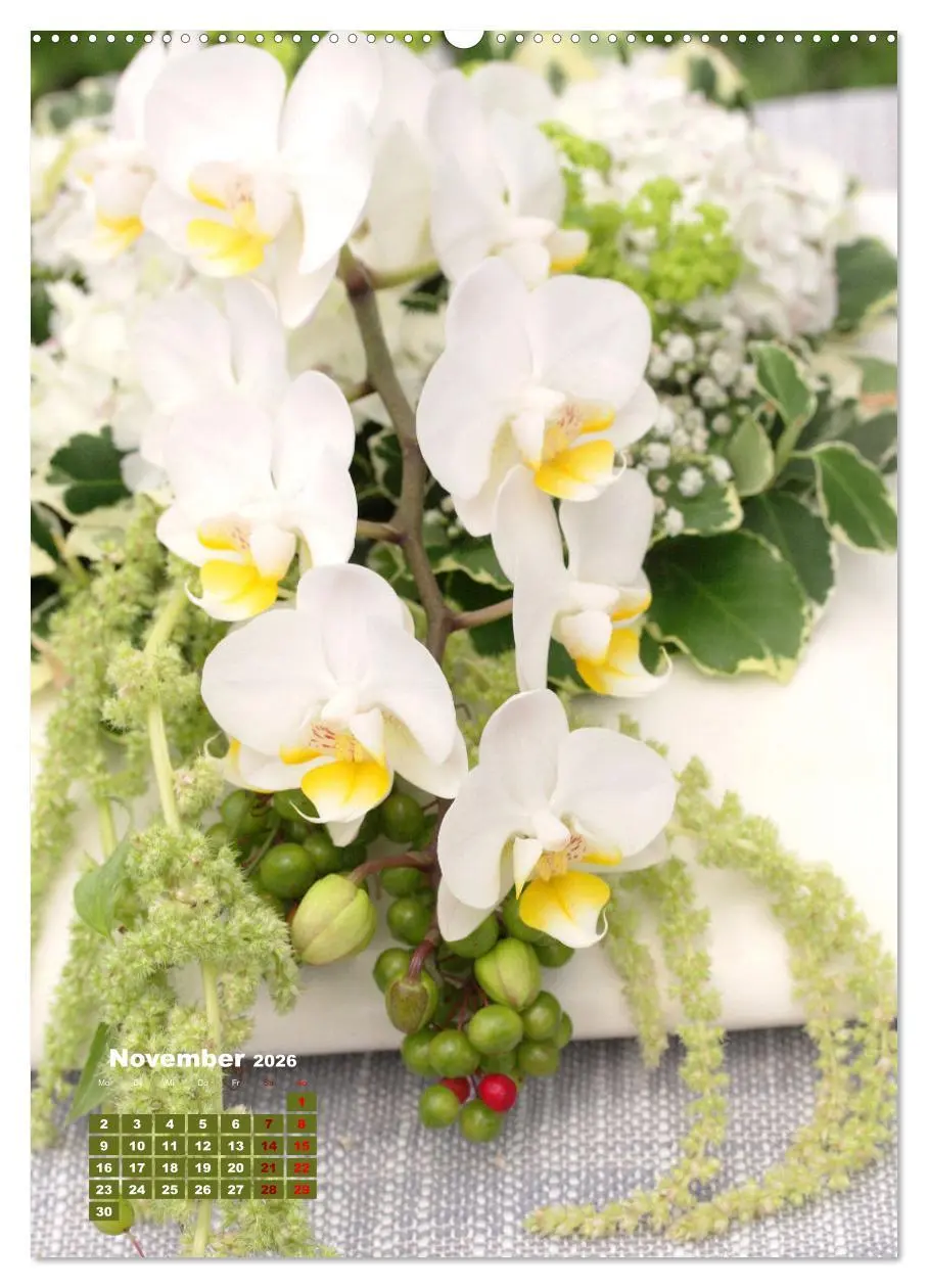 Bild: 9783516352580 | Orchideenschätze (hochwertiger Premium Wandkalender 2026 DIN A2...