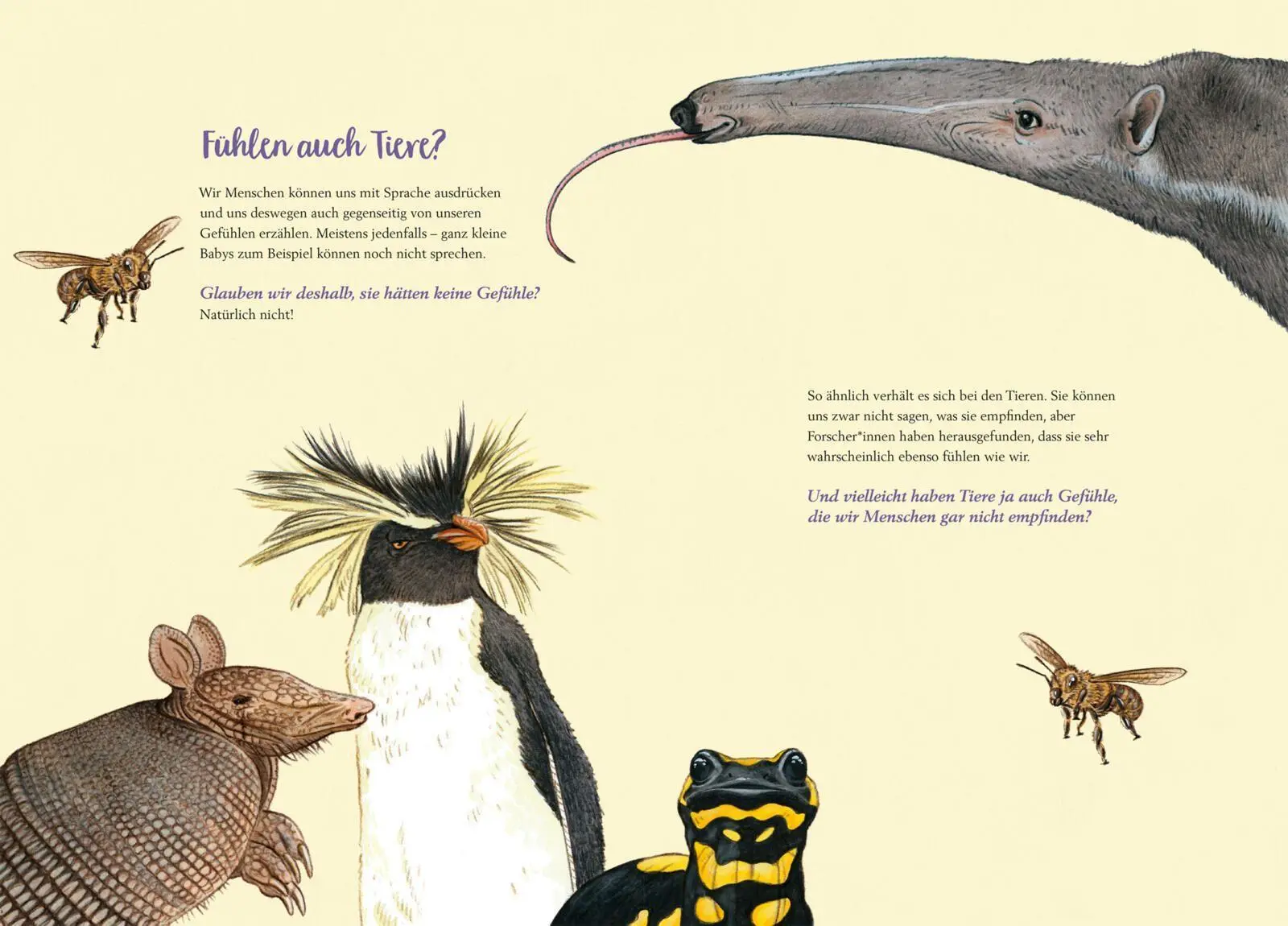 Bild: 9783551522580 | So fühlen die Tiere | Florian Fuchs | Buch | 32 S. | Deutsch | 2026
